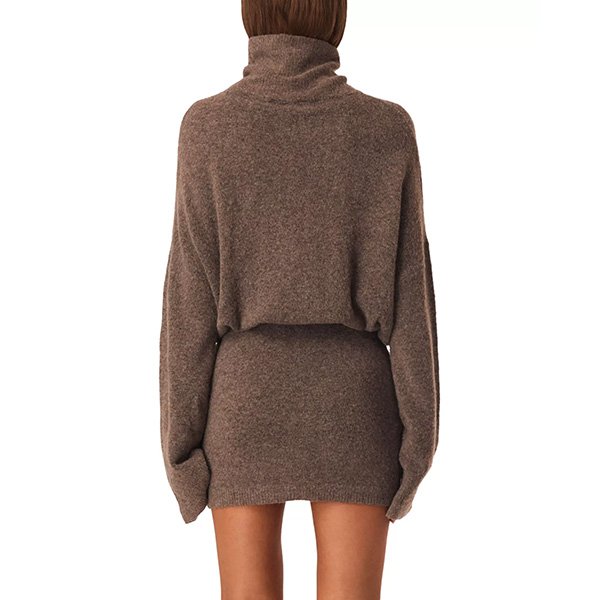 Marlowe ash turtleneck dress back view showing long sleeves