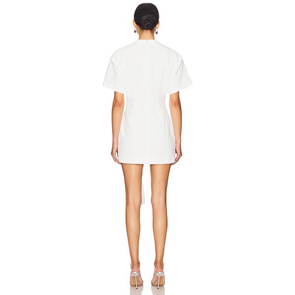 LIONESS Martini mini dress in 6 colors with fully lined construction