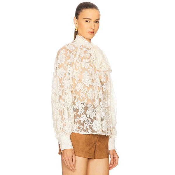 Sheer Lace Top ASTR
